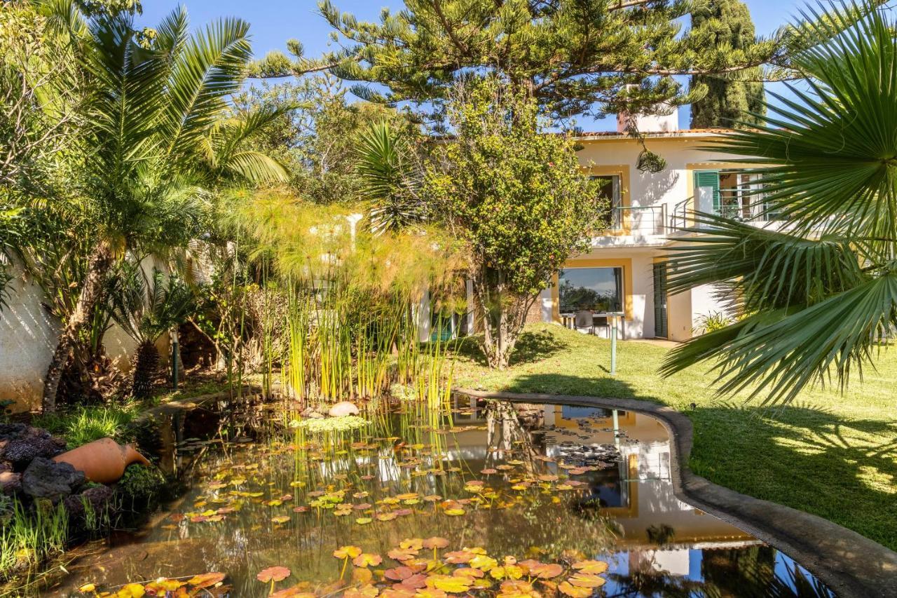 Villa Echium T1 Caniço Εξωτερικό φωτογραφία