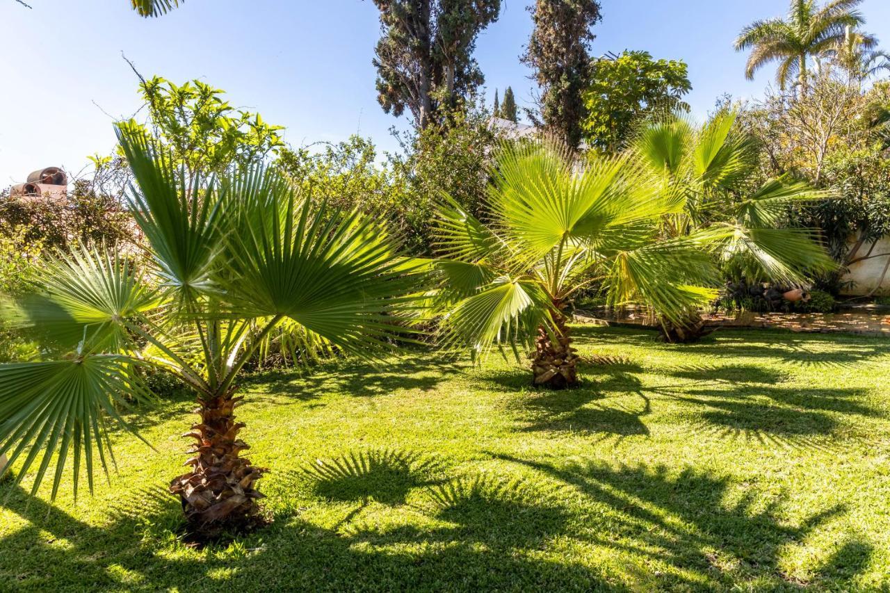 Villa Echium T1 Caniço Εξωτερικό φωτογραφία