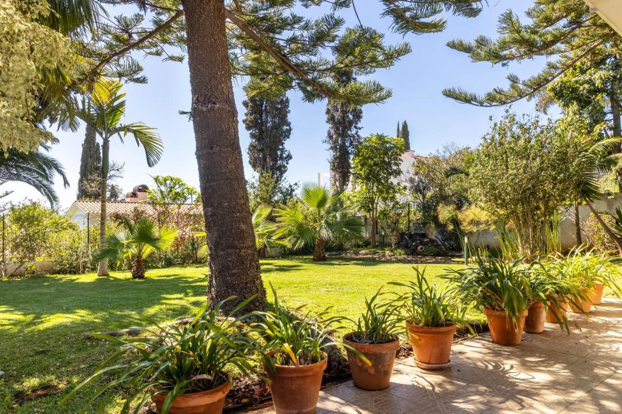 Villa Echium T1 Caniço Εξωτερικό φωτογραφία